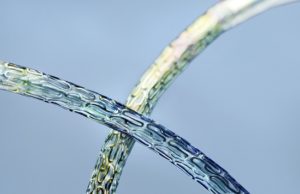 Trial shows Orsiro is non-inferior to Resolute Integrity https://cardiotrial shows orsiro is non inferior to resolute integrity