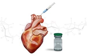 Bellerophon Therapeutics announces results from PRESERVATION I clinical trial for Bioabsorbable Cardiac Matrix