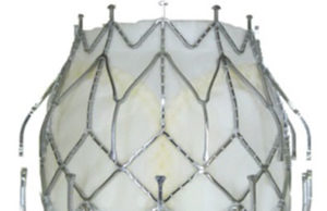 FDA approves feasibility study for CardiAQ Valve Technologies’ transcatheter mitral valve implantation system