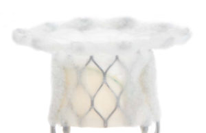 Edwards Lifesciences announces first human implants with mitral transcatheter valve system