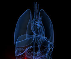 Worse outcomes after TAVI for patients with moderate-to-severe kidney disease