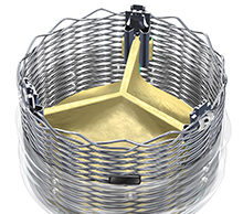 Post-market study show “excellent” outcomes for Lotus TAVI valve