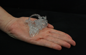 HeartPrint now listed as a Class 1 medical device