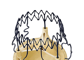 Three studies show benefits of Perceval sutureless valve