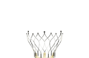 Heart Hospital of Austin is first in Texas to implant new Portico re-sheathable TAVI device