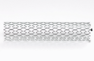 Low mortality rate with Self-Apposing stent at two years