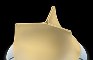 CE mark approval for Crown PRT heart valve