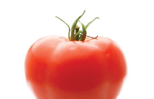 Fasting may not be necessary for PCI patients