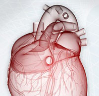 US FDA grants Humanitarian Use Device status for Xeltis pulmonary valve