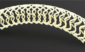 REVA releases initial clinical results for Fantom scaffold