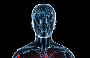 Heart attack patients without obstructive coronary artery disease are at high risk of residual angina