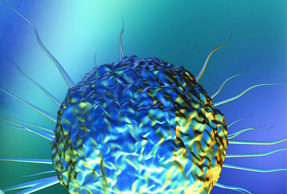 Stem cells may slow the heart’s ageing process