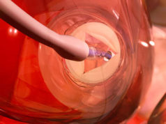 US FDA gives approval to commercialise AI software to guide transcatheter procedures