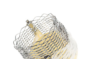 Boston Scientific may have resolved issue with Lotus Edge device