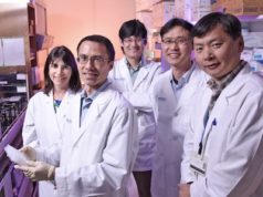 Cancer drug promotes regeneration of damaged heart tissue
