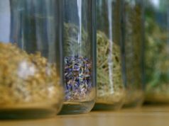 Researchers urge physicians to discuss herbal medication use with heart disease patients
