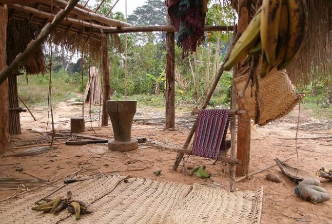 ACC 2017: Indigenous South American group has healthiest arteries ever studied