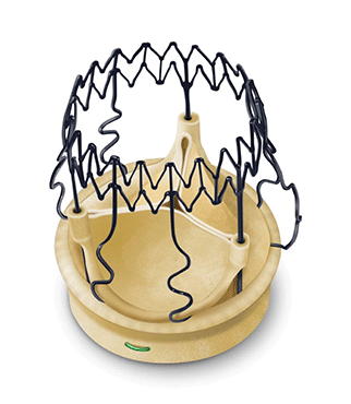 New literature review highlights that Perceval sutureless aortic valve is safe