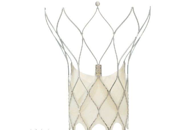 Abbott receives FDA approval for Portico with FlexNav TAVI system