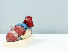 US physicians “among nation’s first” to implant neurostimulator technology for advanced heart failure