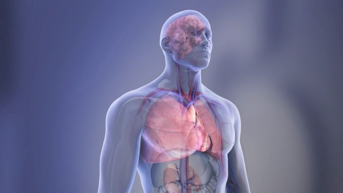 Death due to cardiovascular disease more likely among Black adults born in the USA