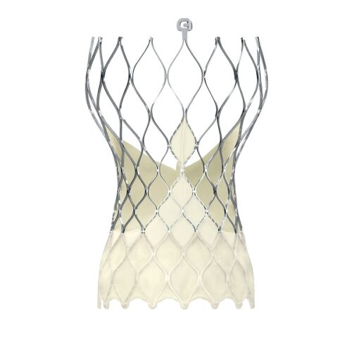 ADVERTORIAL TAVI valve durability and reliability How patient