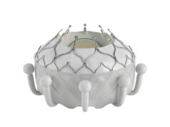 Evoque tricuspid valve replacement system gains Health Canada approval