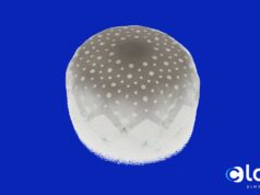 GLACE study to assess ICE imaging during LAA closure