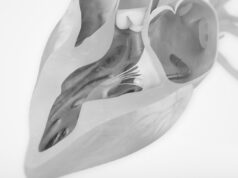 CoreMedic and InnoRa partner to accelerate development of ChordArt mitral repair system