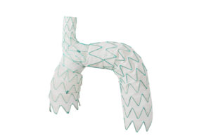 Endospan releases early TRIOMPHE IDE study results at STS 2024 TRIOMPHE