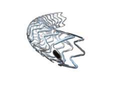 First patient enrolled in BIOMAG-II trial of Freesolve resorbable scaffold