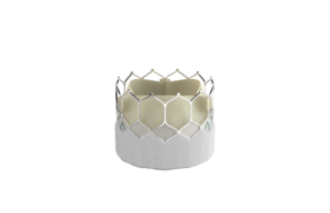 Edwards’ Sapien 3 Ultra Resilia valve gets European launch