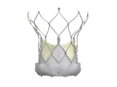 Navitor TAVI valve picks up expanded CE mark for low-risk patients