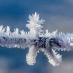 Frozen-barbed-wire-thumbnail.jpg
