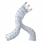 Medtronic Endurant web