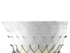 Prostyle M mitral valve system gets first use in clinical study