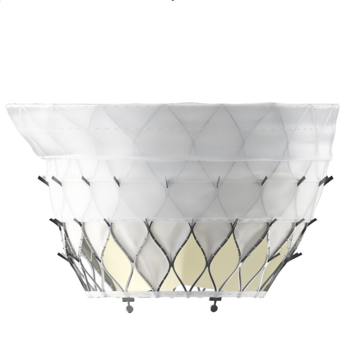 Prostyle M mitral valve system gets first use in clinical study
