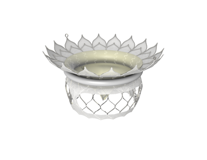 HighLife Clarity mitral heart valve gains CE mark